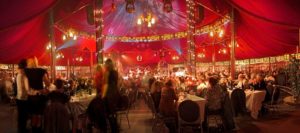 Madame-Zingara1