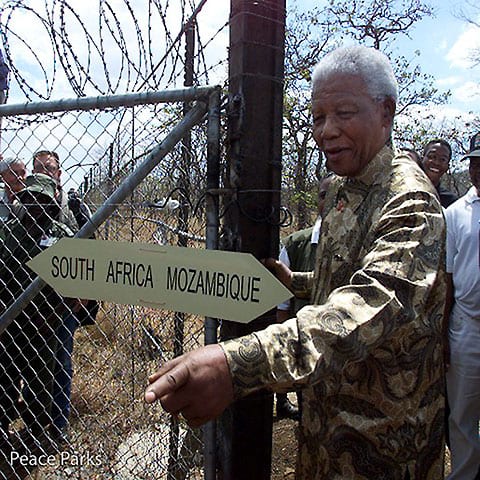 Mandela Peace Parks