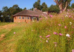 Antbear Drakensberg Lodge