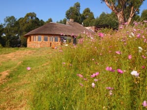 Antbear Drakensberg Lodge