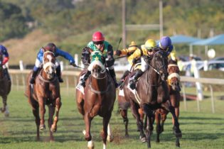 Get set for thrilling racing and entertainment at 13th Annual Golden Horse Sprint Race Day!