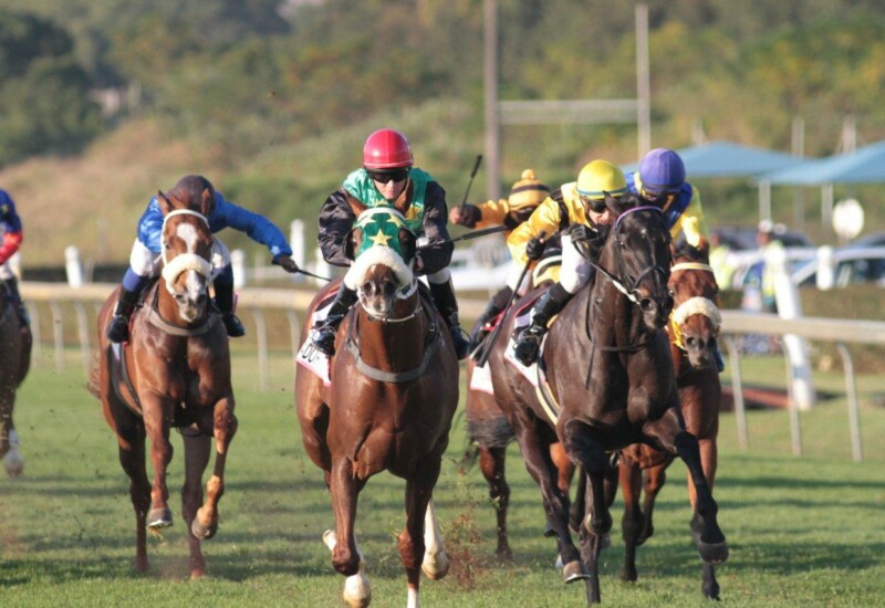 Get set for thrilling racing and entertainment at 13th Annual Golden Horse Sprint Race Day!