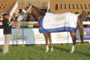 Get set for thrilling racing and entertainment at 13th Annual Golden Horse Sprint Race Day!