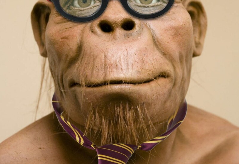 Harry the Hominid, Maropeng's spokeshominid