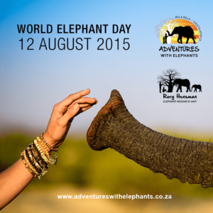 World Elephant Day 2015- 1