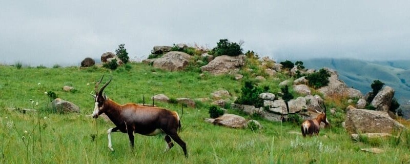 Eswatini