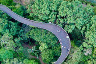 An aerial view of the Kirstenbosch Botanical Gardens