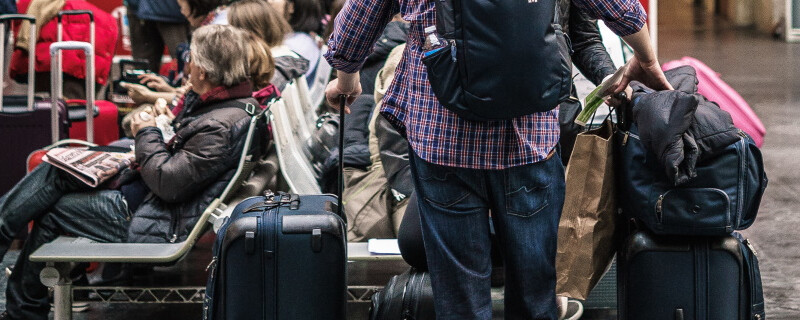 Travellers with suitcases