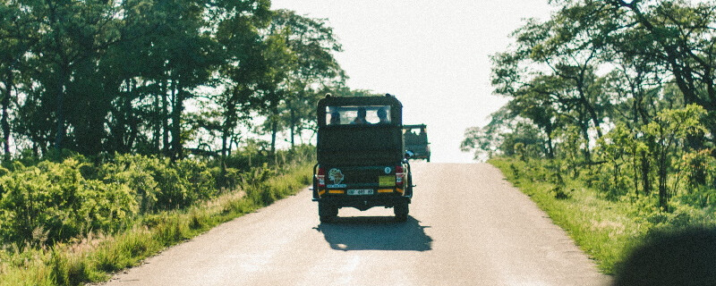 People on a game drive