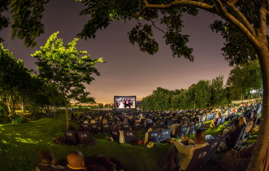 Outdoor cinema at Meerendal Wine Estate