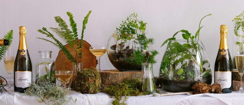 Spier is hosting a workshop to build your own terrarium