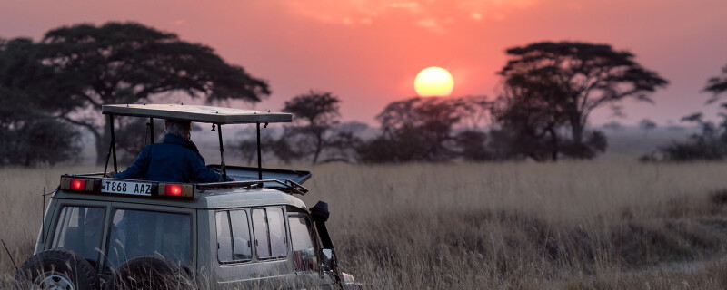 Sunrise in the Serengeti