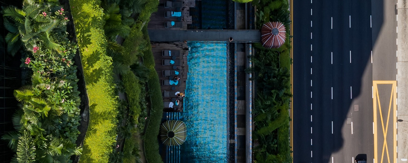 A hotel surrounded by lush greenery